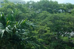 Changi Rise Condominium (D18), Condominium #214835911